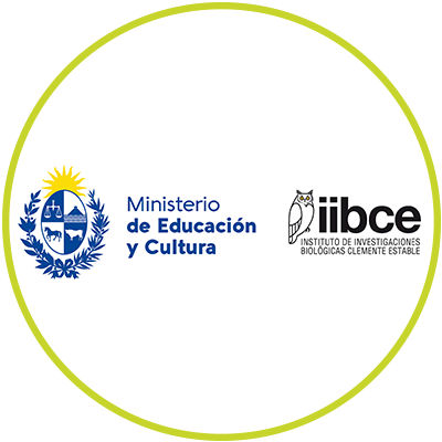 Instituto de Investigaciones BIologicas Clemente Estable -ANT- Arte Neurociencia Tecnologia